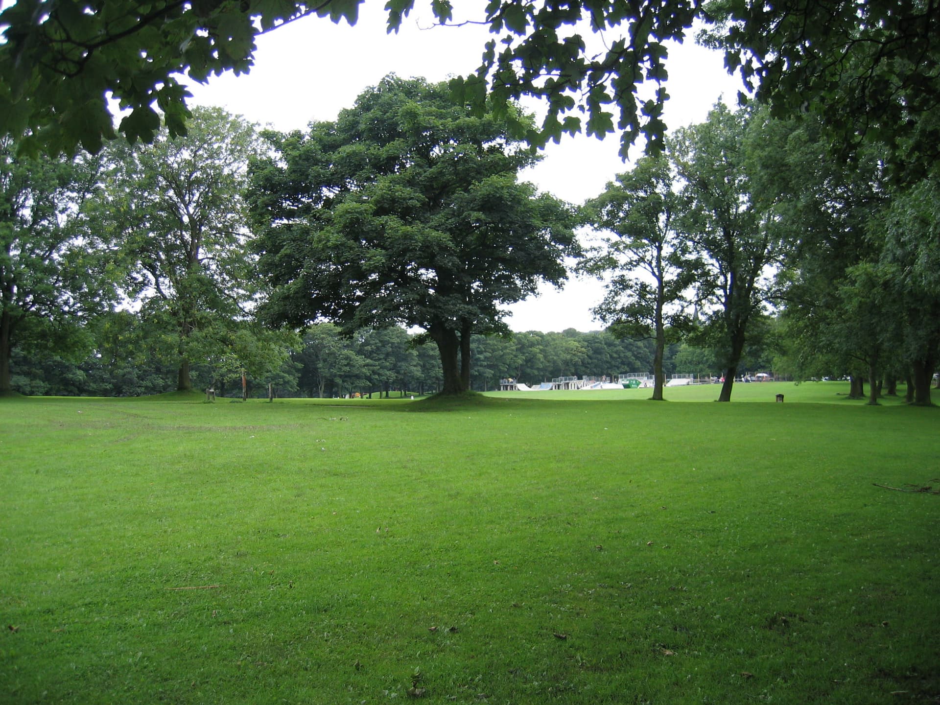 Wide lawn in a park with mature trees and a distant skate park under an overcast sky